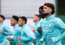 STJD reduz pena, e Barboza pode estrear pelo Palmeiras; suspensão de Allan é mantida