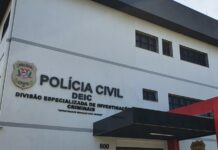 Ladrões invadem sítio e levam 15 cabeças de gado, fiação e ferramentas