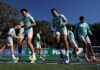 Com dois gols de Paulinho, Palmeiras goleia o Mauaense em jogo-treino