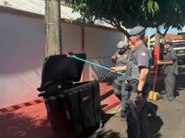 Corpo é encontrado esquartejado em lixeira de marmitaria em Rio Preto