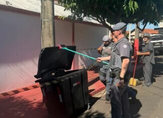 Corpo é encontrado esquartejado em lixeira de marmitaria em Rio Preto