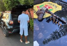 Polícia Civil apreende revólver e prende suspeito de ameaças em Fernandópolis