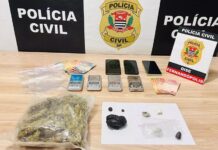 DISE de Fernandópolis desarticula esquema de tráfico de “maconha gourmet”