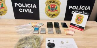 DISE de Fernandópolis desarticula esquema de tráfico de “maconha gourmet”