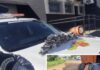 Homem é preso com 5,6 kg de haxixe marroquino
