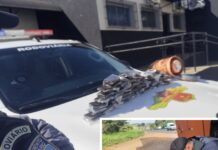 Homem é preso com 5,6 kg de haxixe marroquino