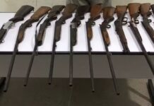Denúncia de violência doméstica leva polícia a encontrar arsenal de espingardas e carabinas e homem é preso