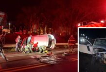 Motorista morre após batida frontal entre carros na SP-310 em Monte Aprazível