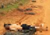 Homem é encontrado morto com sinais de estrangulamento em estrada de terra em Birigui