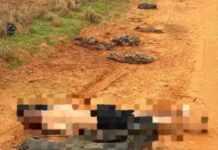 Homem é encontrado morto com sinais de estrangulamento em estrada de terra em Birigui
