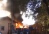 Tentativa de queimar caixa de marimbondos provoca incêndio em empresa