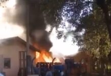 Tentativa de queimar caixa de marimbondos provoca incêndio em empresa