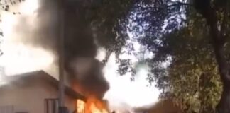 Tentativa de queimar caixa de marimbondos provoca incêndio em empresa
