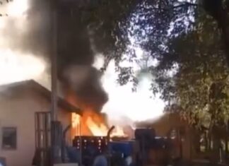 Tentativa de queimar caixa de marimbondos provoca incêndio em empresa