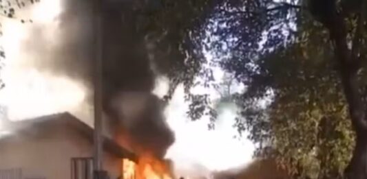 Tentativa de queimar caixa de marimbondos provoca incêndio em empresa