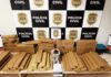 Polícia Civil localiza 120 kg de maconha em Rio Preto