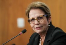 Tereza Cristina exige moderação para aceitar vice de Flávio
