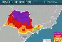 Defesa Civil de SP emite alerta de emergência para incêndios no feriado