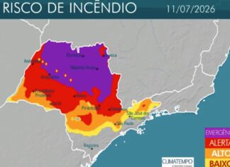 Defesa Civil de SP emite alerta de emergência para incêndios no feriado