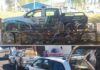Homem é multado em mais de R$ 20 mil após ser flagrado com 41 aves silvestres em Votuporanga