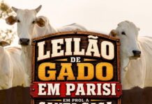 Parisi se une em prol da Santa Casa de Votuporanga com Leilão de Gado neste domingo
