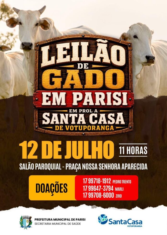 leilao gado