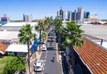 Prefeitura realiza poda nas palmeiras da Rua Amazonas neste sábado