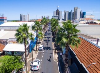 Prefeitura realiza poda nas palmeiras da Rua Amazonas neste sábado
