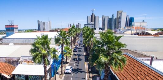 Prefeitura realiza poda nas palmeiras da Rua Amazonas neste sábado