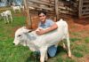 Egresso da Agronomia Unifev conquista 1º lugar em concurso público para engenheiro agrônomo