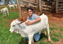 Egresso da Agronomia Unifev conquista 1º lugar em concurso público para engenheiro agrônomo