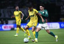No Z-4 e em jejum de vitórias, Mirassol tem pela frente a dupla Palmeiras e Flamengo