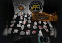 Força Tática apreende quase 1 kg de maconha em Votuporanga