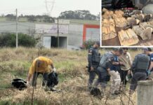 Dois homens morrem em confronto com policiais após furto de R$ 300 mil em empresa de Rio Preto