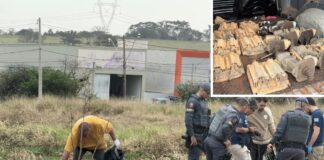Dois homens morrem em confronto com policiais após furto de R$ 300 mil em empresa de Rio Preto