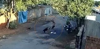 Homem é preso suspeito de dar pauladas em cães no meio da rua em Rio Preto