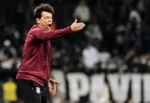 Fernando Diniz é absolvido pelo STJD de denúncia por tapa em jogador do Athletico