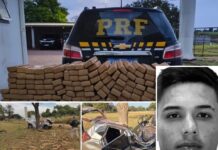 PRF intercepta carga de 445,2 kg de maconha que seguia para Votuporanga; motorista morre