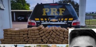 PRF intercepta carga de 445,2 kg de maconha que seguia para Votuporanga; motorista morre