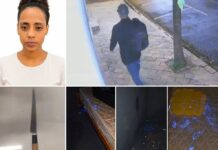 Mulher morta e esquartejada por açougueiro em Rio Preto é identificada