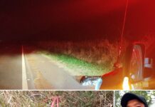 Homem de 42 anos morre após possível atropelamento em rodovia de Cardoso