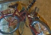 Morre estudante de 15 anos atingido por adolescente de 17 que pilotava moto embriagado