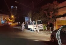 Homem furta caminhão de carne, dirige na contramão, bate em poste e é preso