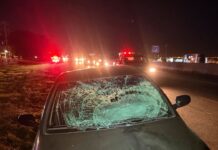 Homem morre atropelado na Rodovia BR-153