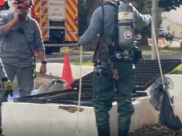 Polícia encontra antebraços e mãos de mulher esquartejada em galeria pluvial