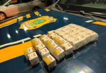 PRF apreende 148 ampolas de medicamentos para emagrecer na BR-153