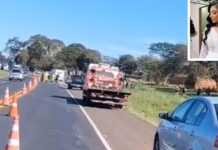Fotógrafa de 24 anos morre em batida frontal entre carros na BR-153