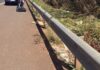 Motociclista fica ferido após queda na Rodovia Péricles Bellini