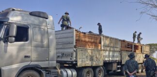 Polícia Ambiental inicia ‘Operação Madeira Legal’ no noroeste paulista