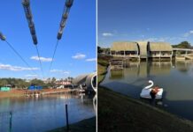 Prefeitura abre nova concessão para operação da tirolesa e dos pedalinhos no Parque da Cultura